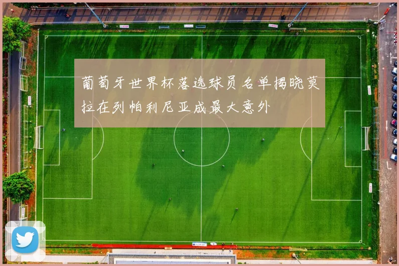 葡萄牙世界杯落选球员名单揭晓莫拉在列帕利尼亚成最大意外