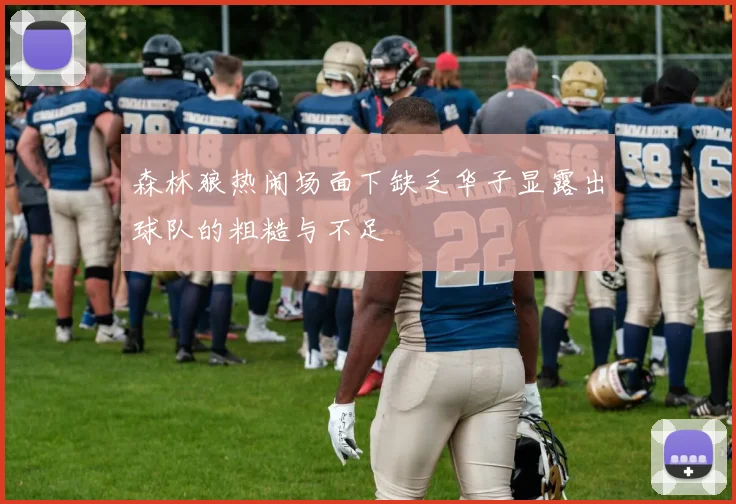 森林狼热闹场面下缺乏华子显露出球队的粗糙与不足